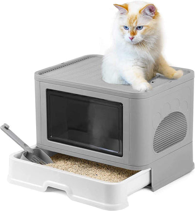 Caja de Arena para Gatos